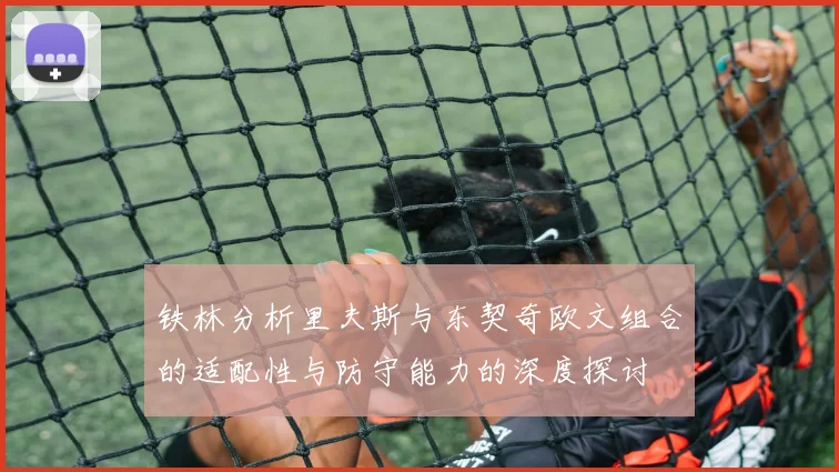 铁林分析里夫斯与东契奇欧文组合的适配性与防守能力的深度探讨