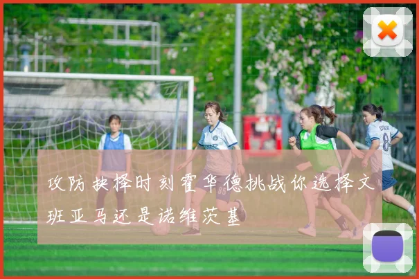 攻防抉择时刻霍华德挑战你选择文班亚马还是诺维茨基