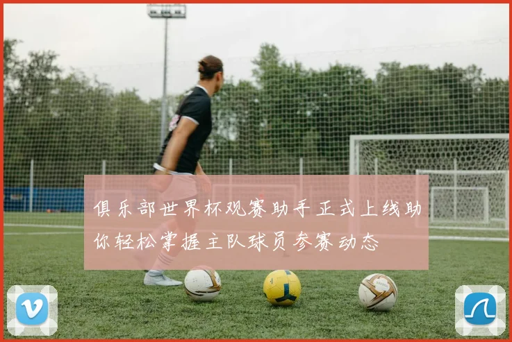 俱乐部世界杯观赛助手正式上线助你轻松掌握主队球员参赛动态